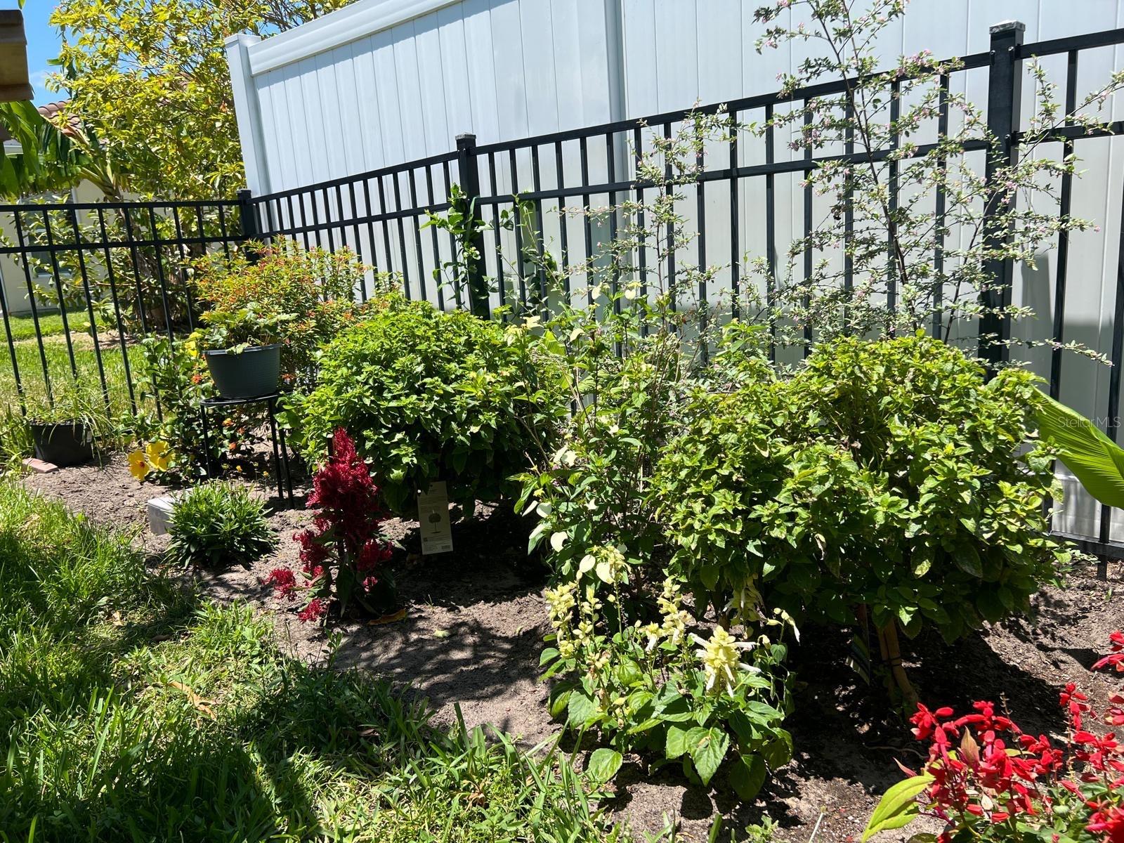 Image 34 of 64 For 3892 Golden Knot Drive