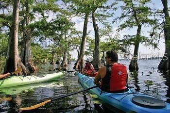 Image 11 of 13 For Dahlia Court