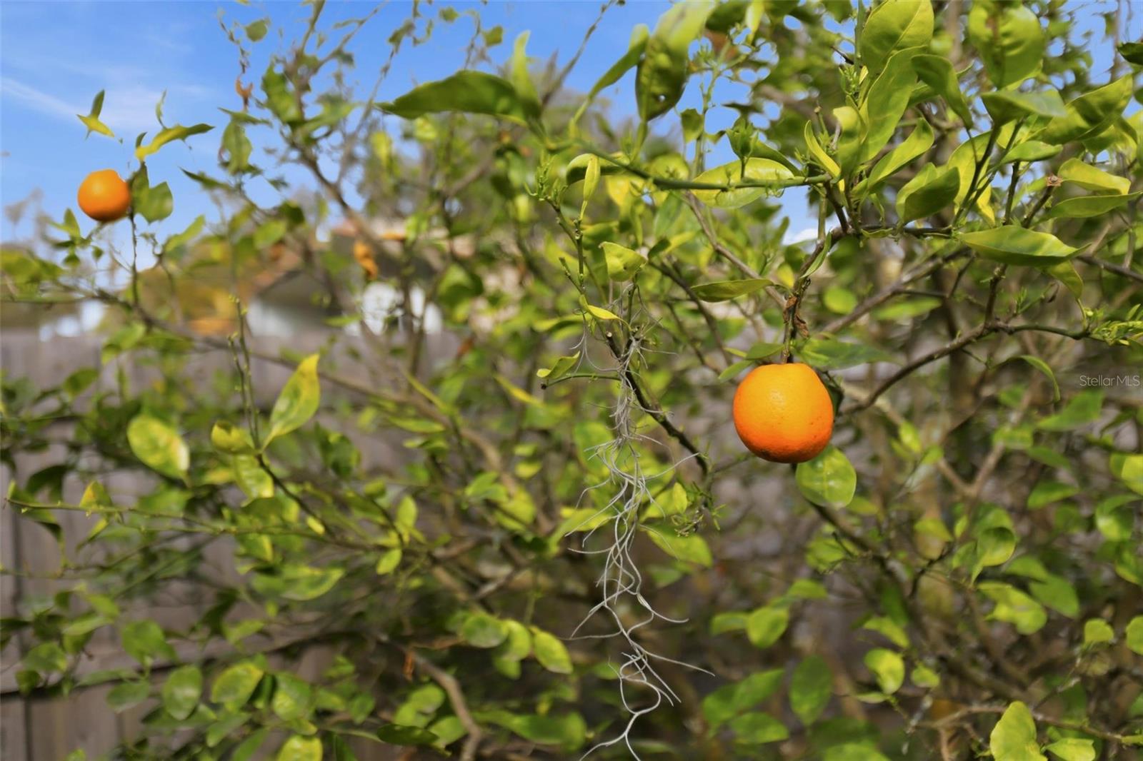 Image 25 of 34 For 102 Lake Charles Road