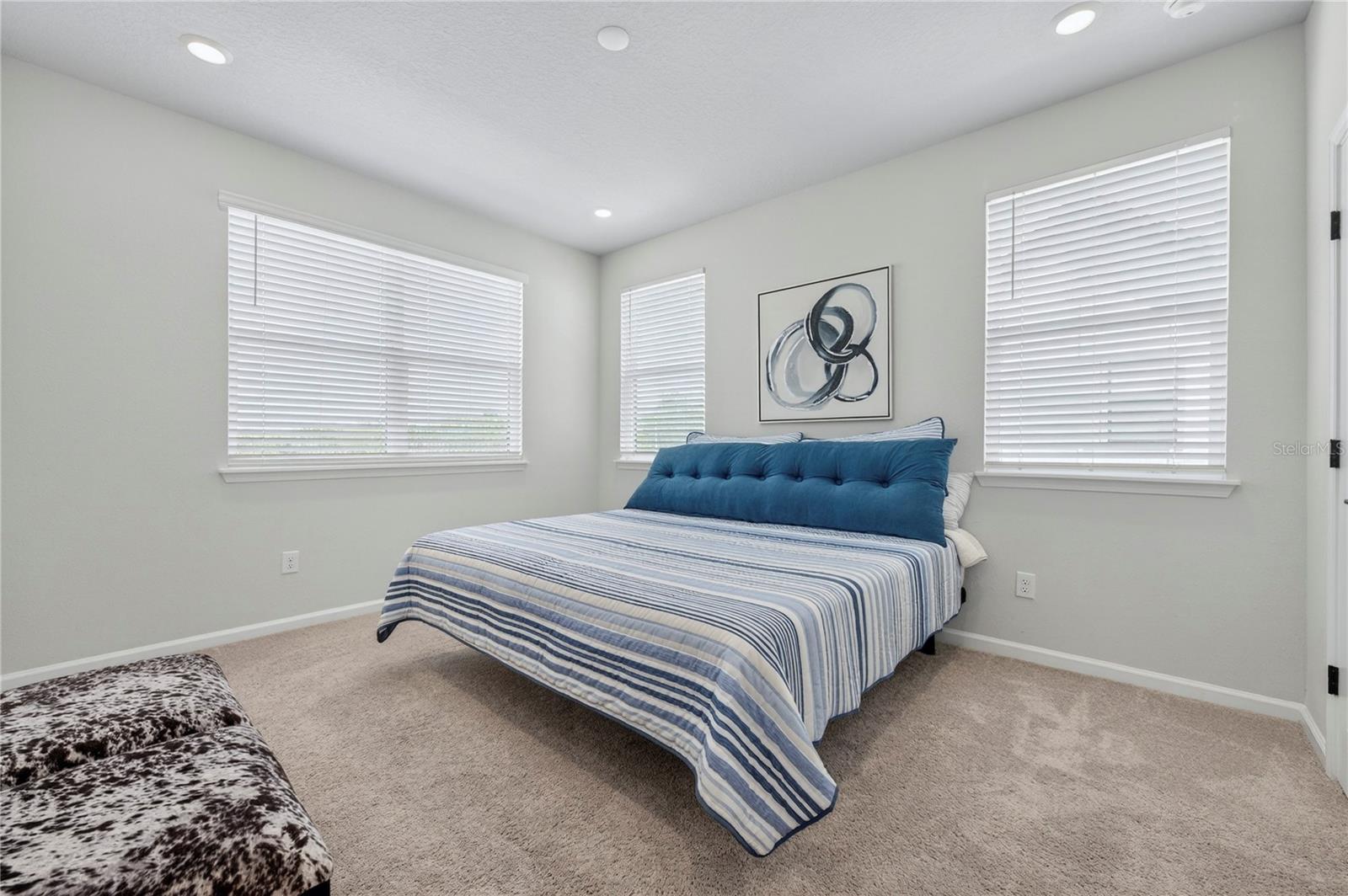 Listing photo id 37 for 1096 Farwell Street