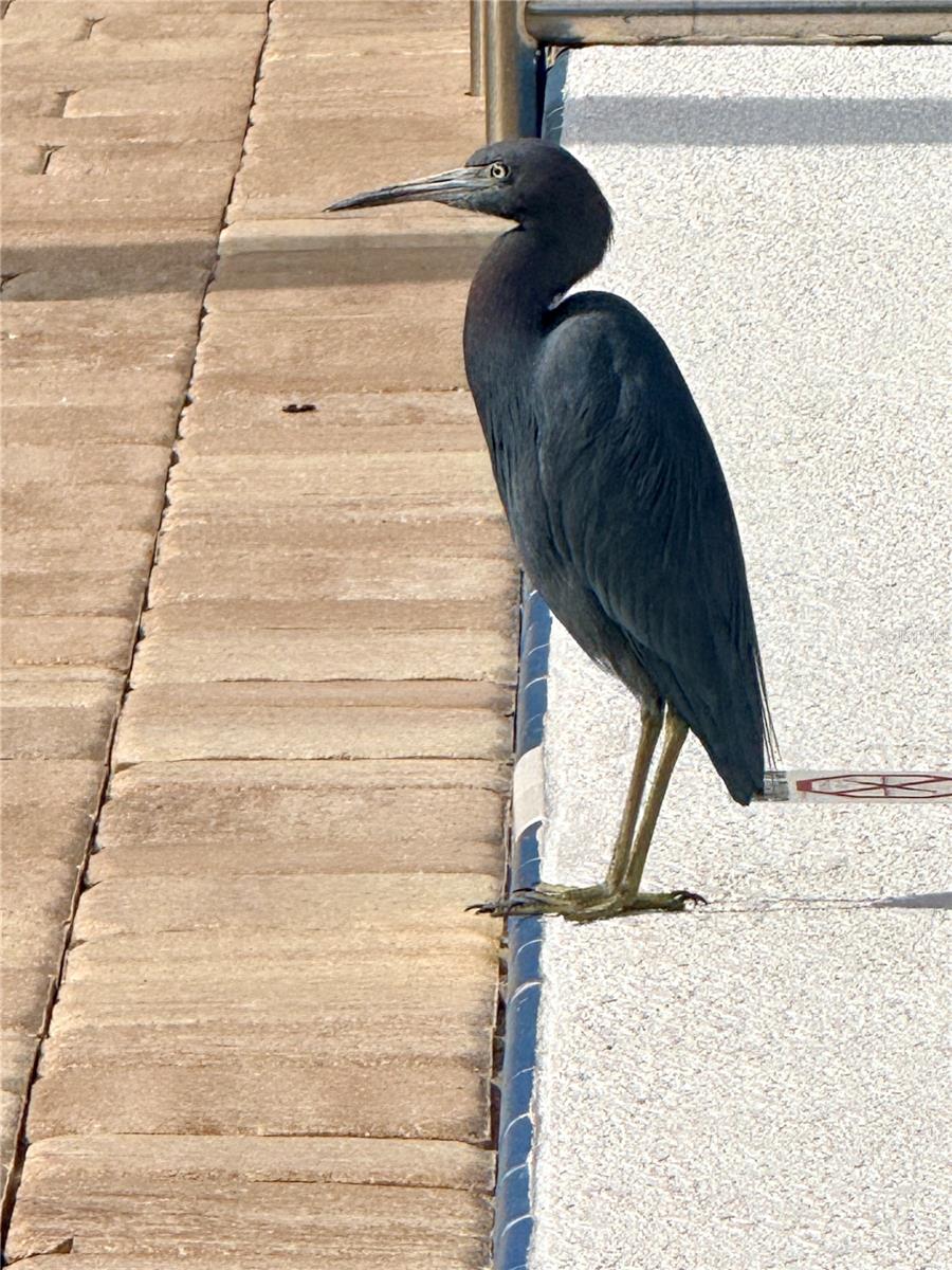 Image 24 of 30 For 1000 Lake Of The Woods Boulevard 206f