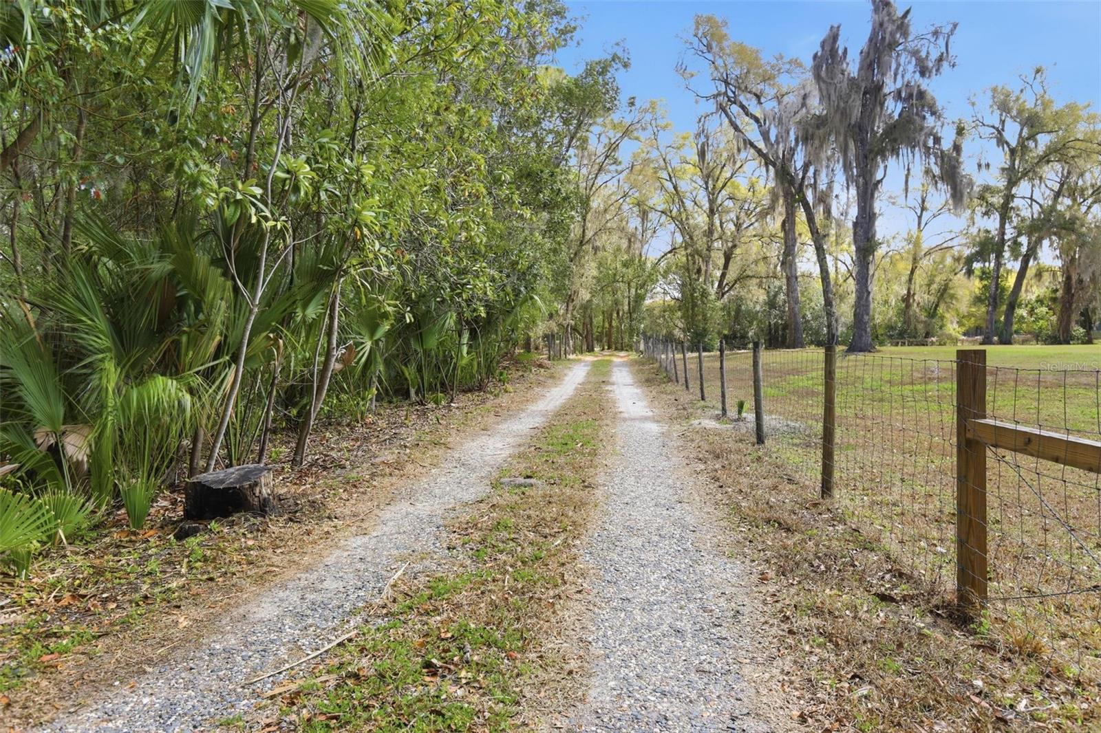 Image 53 of 81 For 4062 Audubon Avenue