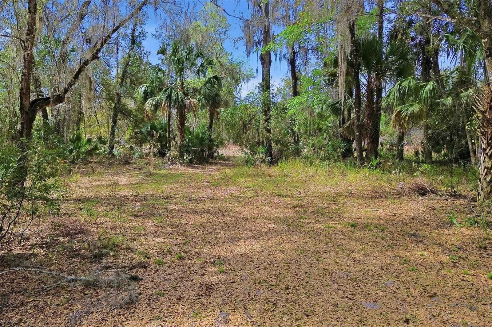 Image 74 of 81 For 4062 Audubon Avenue