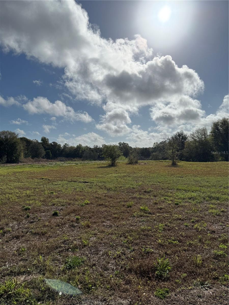 Image 6 of 16 For 1043 Hazen Road