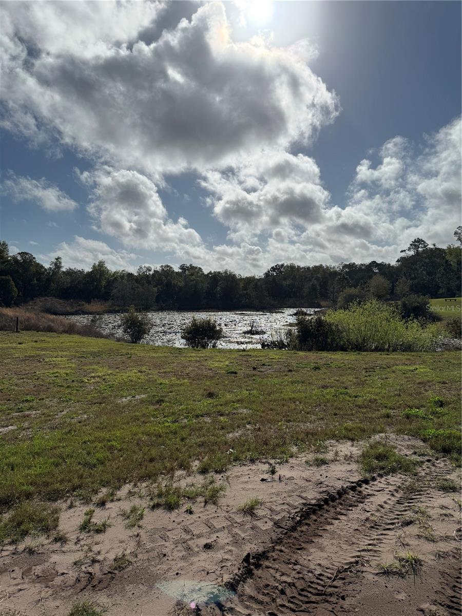 Image 9 of 16 For 1043 Hazen Road