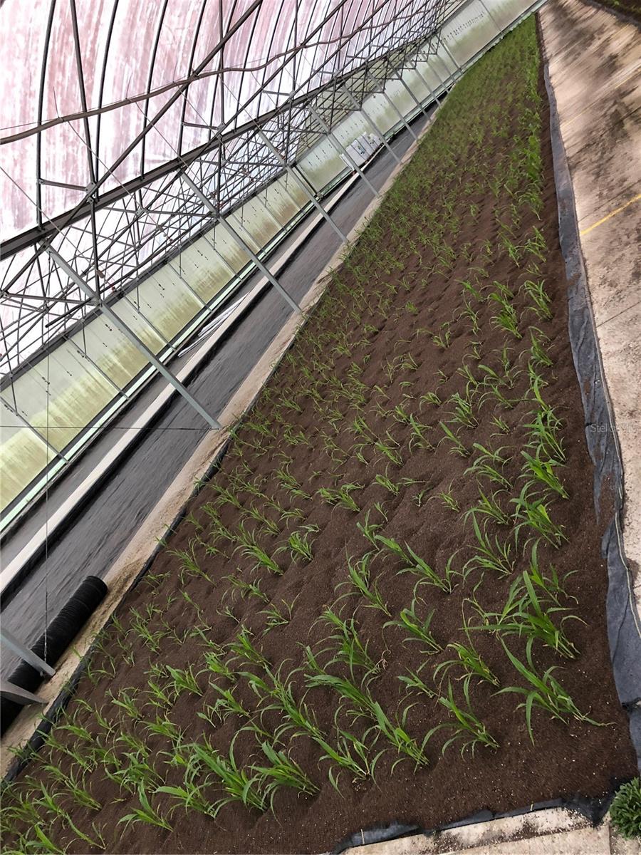 Image 37 of 41 For 1065 Massachusetts Avenue