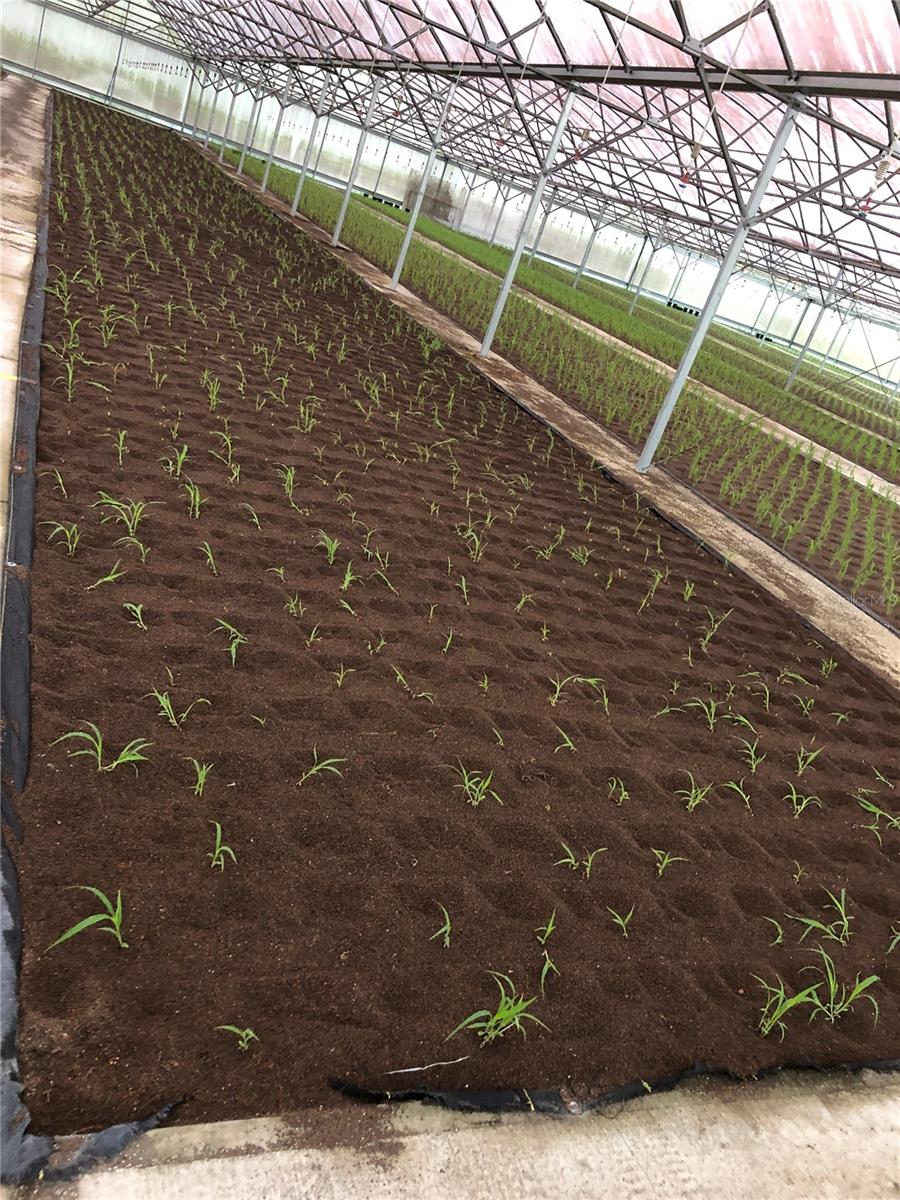 Image 41 of 41 For 1065 Massachusetts Avenue