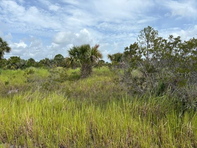 Image 2 of 2 For 2239 Utopia Avenue Sw