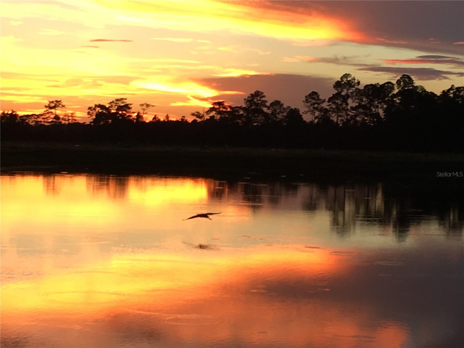 Image 45 of 49 For 1346 Eggleston Drive