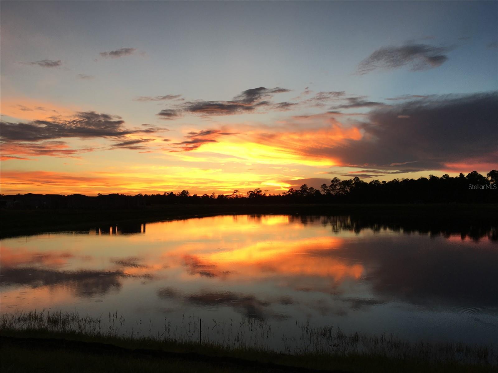 Image 46 of 49 For 1346 Eggleston Drive