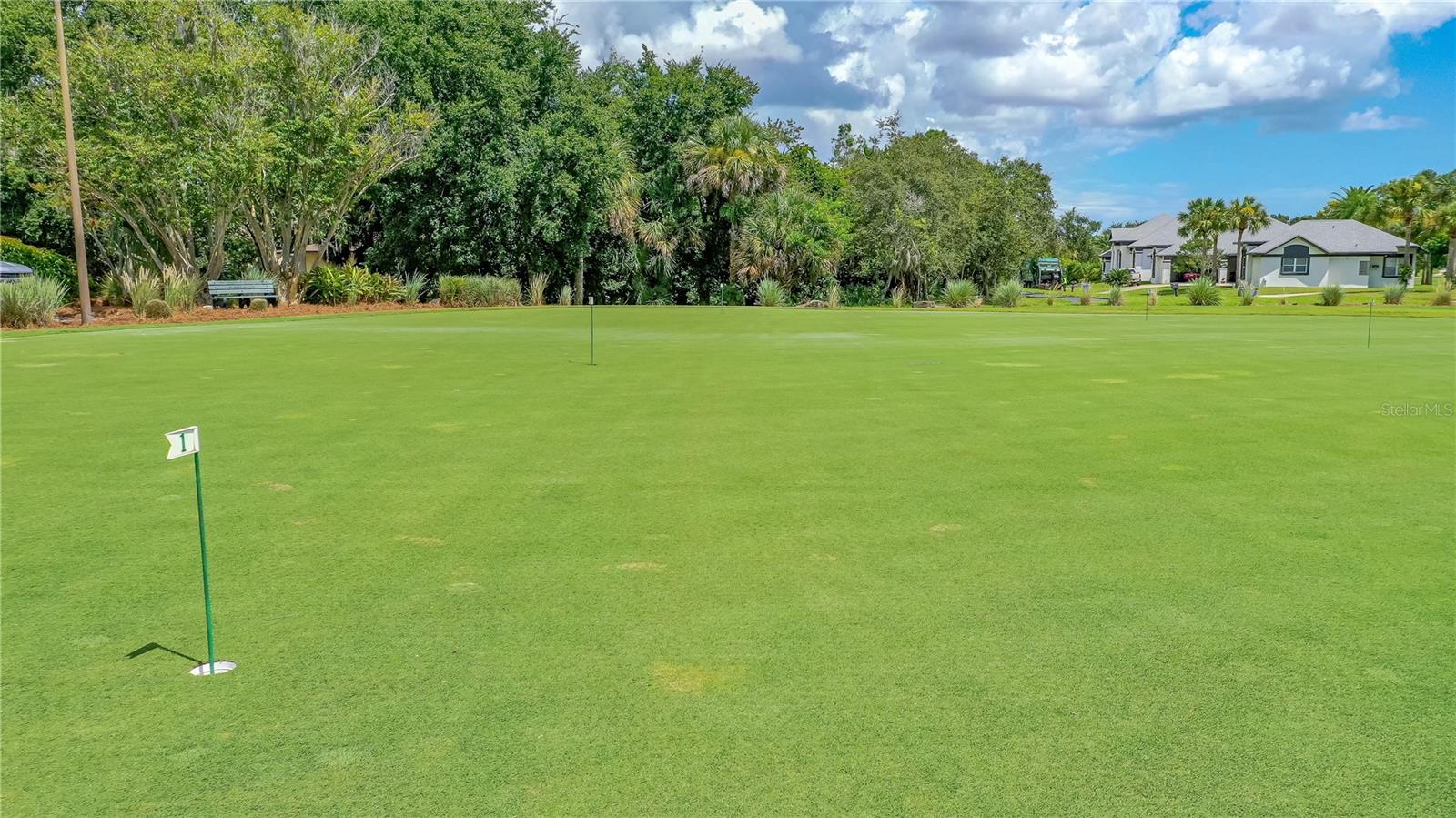 Image 47 of 52 For 727 Grape Ivy Lane