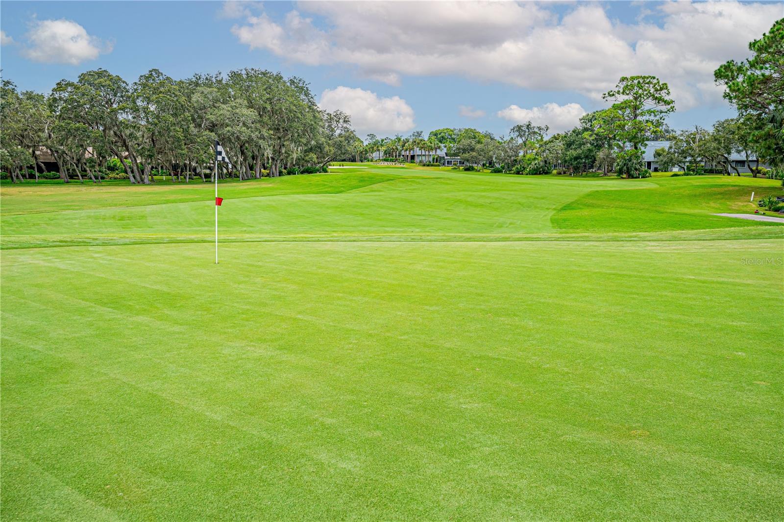 Image 48 of 52 For 727 Grape Ivy Lane