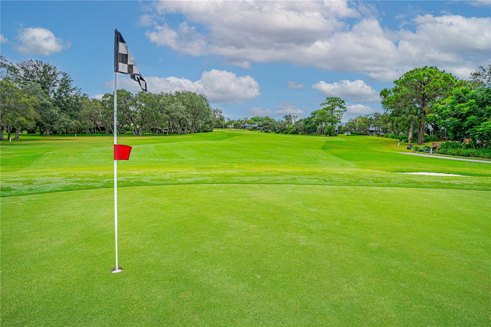 Image 49 of 52 For 727 Grape Ivy Lane