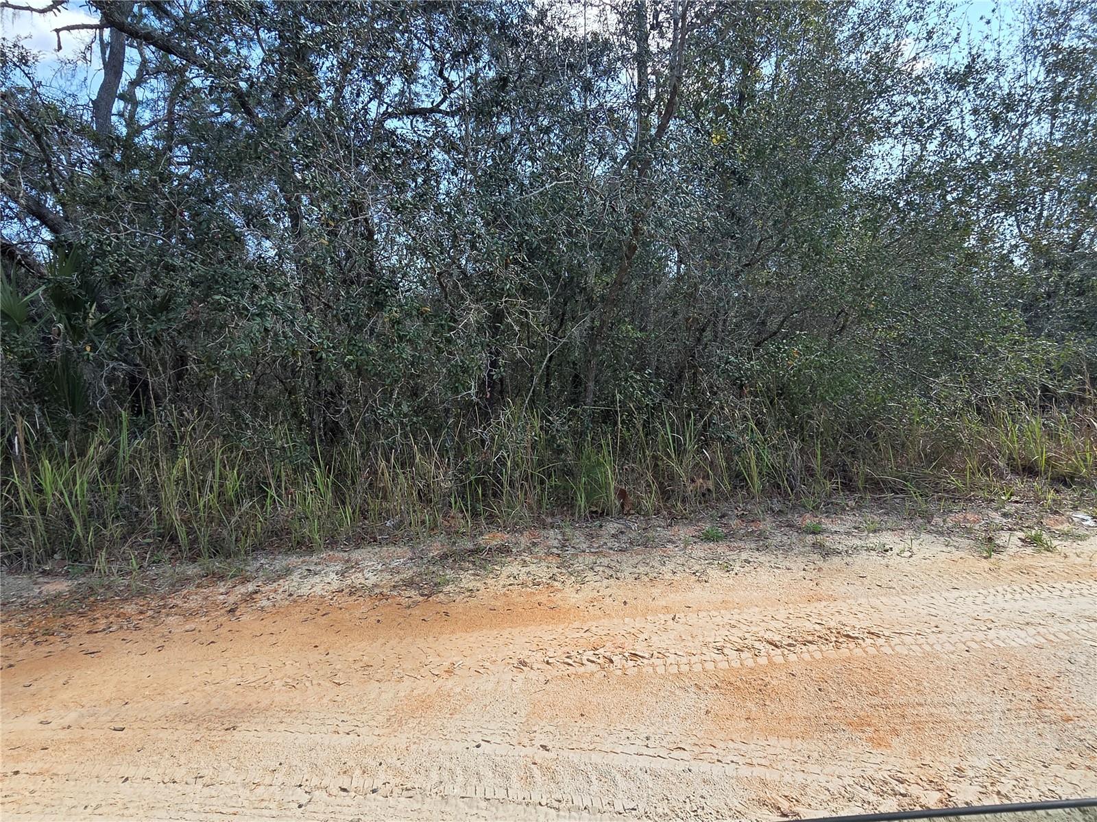 Details for S 7th Street, DELAND, FL 32724