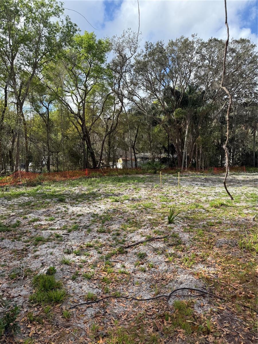 Image 13 of 13 For 2221 Holly Lane