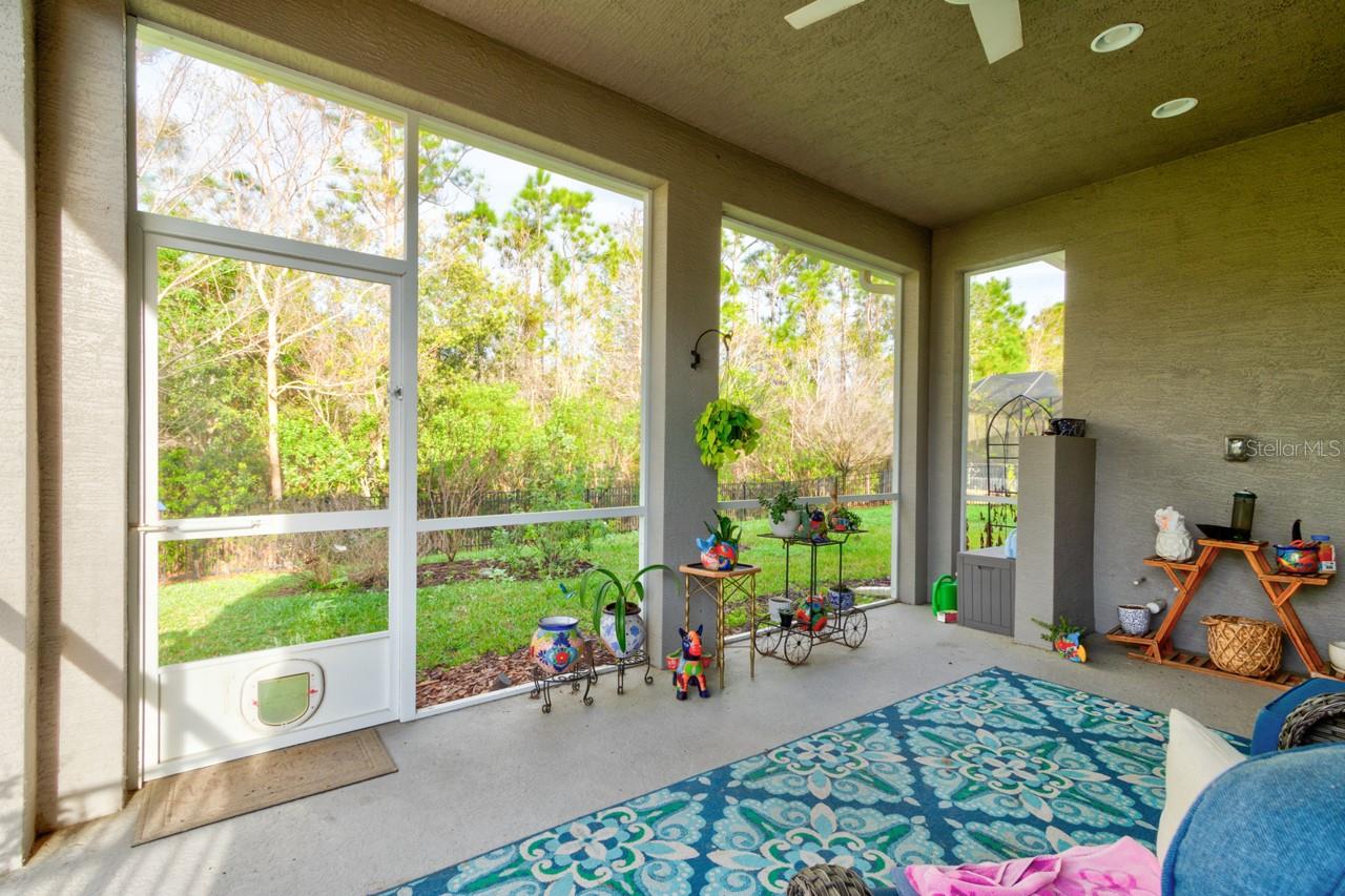 Image 25 of 38 For 436 Nottinghill Street