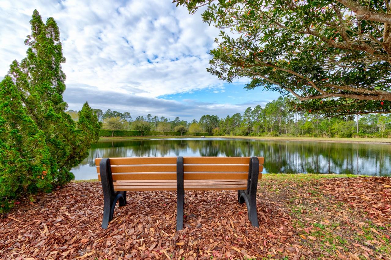 Image 29 of 38 For 436 Nottinghill Street