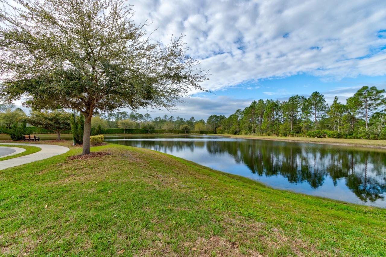 Image 30 of 38 For 436 Nottinghill Street