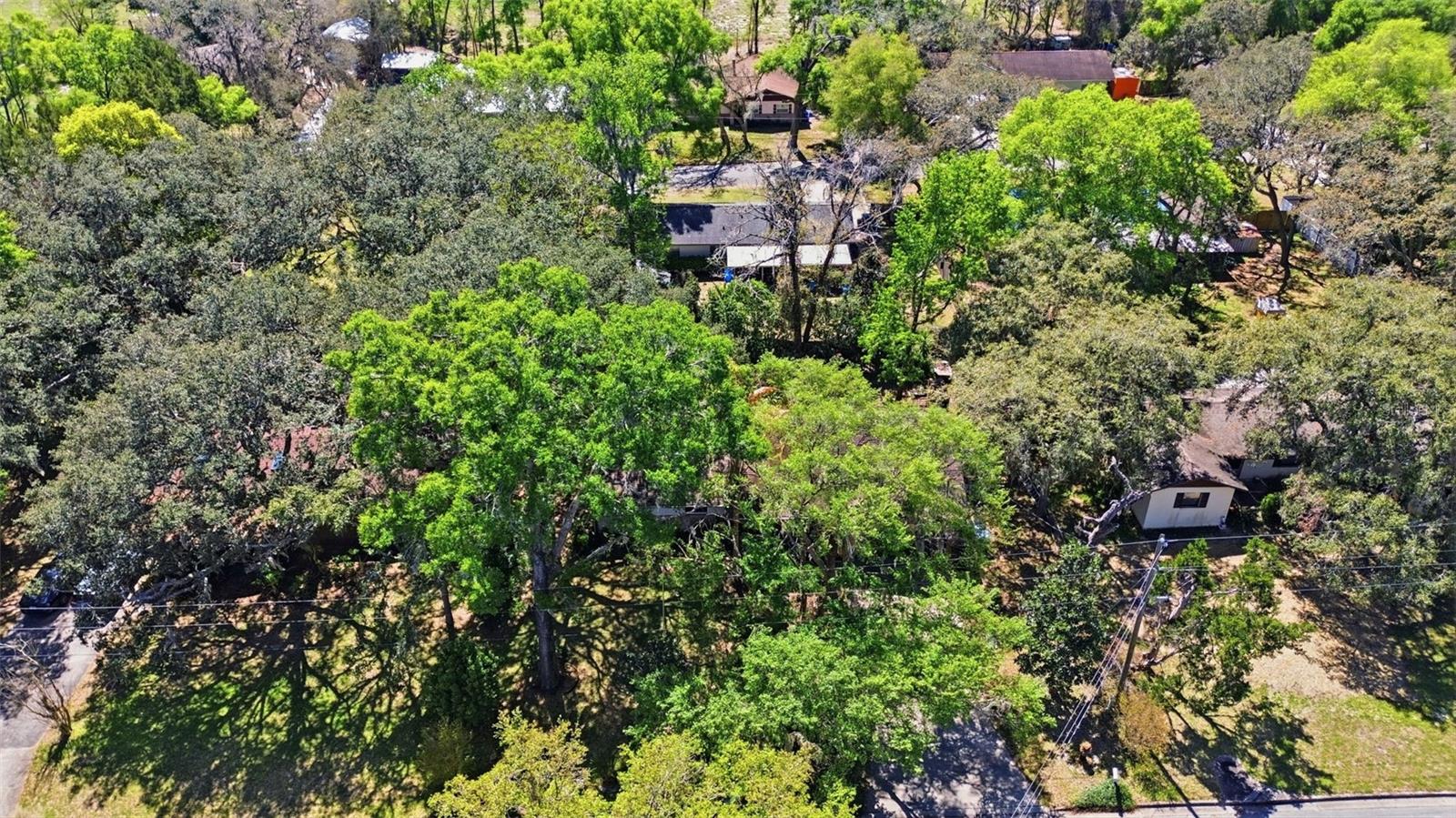 Image 10 of 36 For 1480 Gaudrey Street