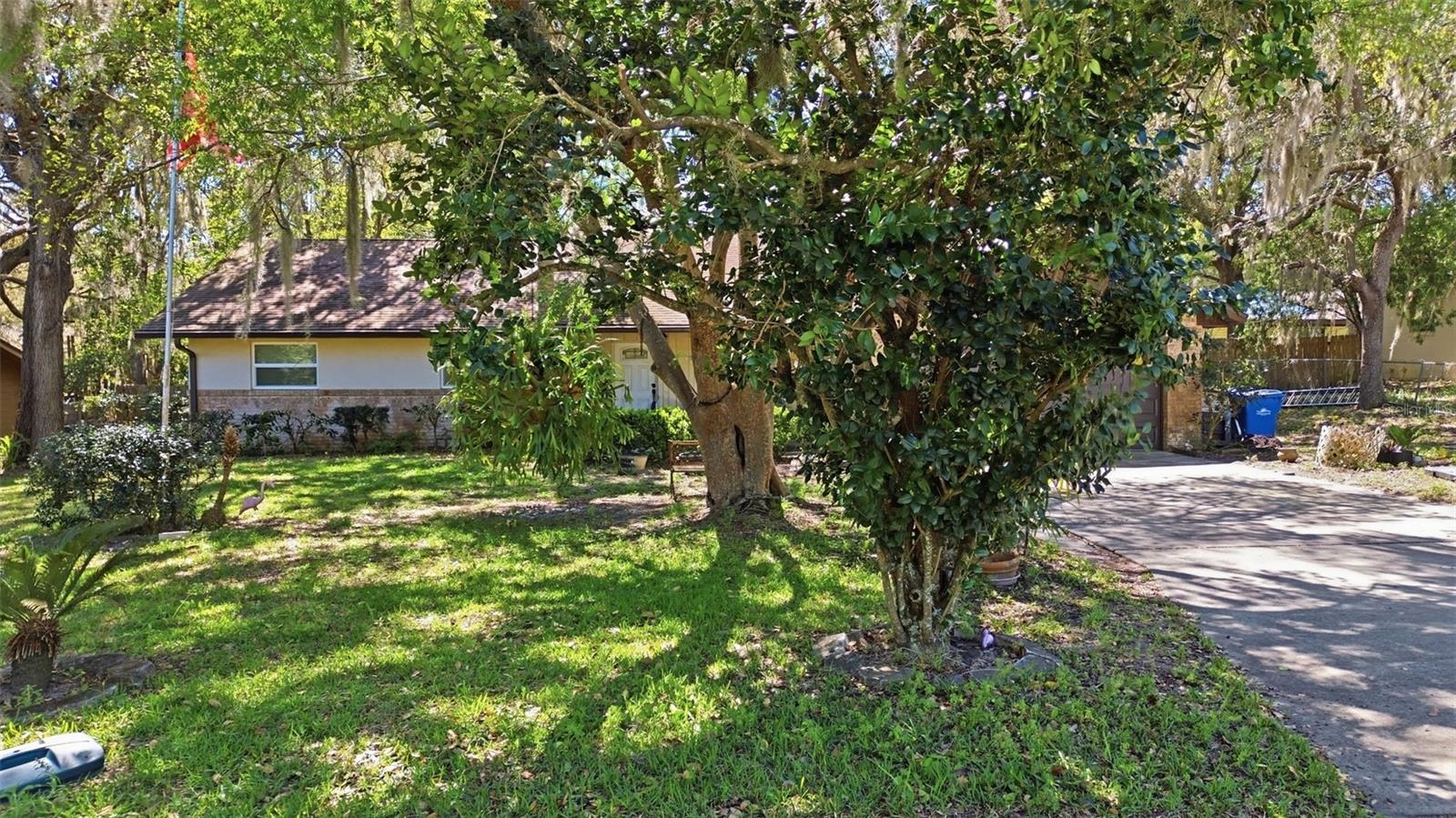 Image 33 of 36 For 1480 Gaudrey Street