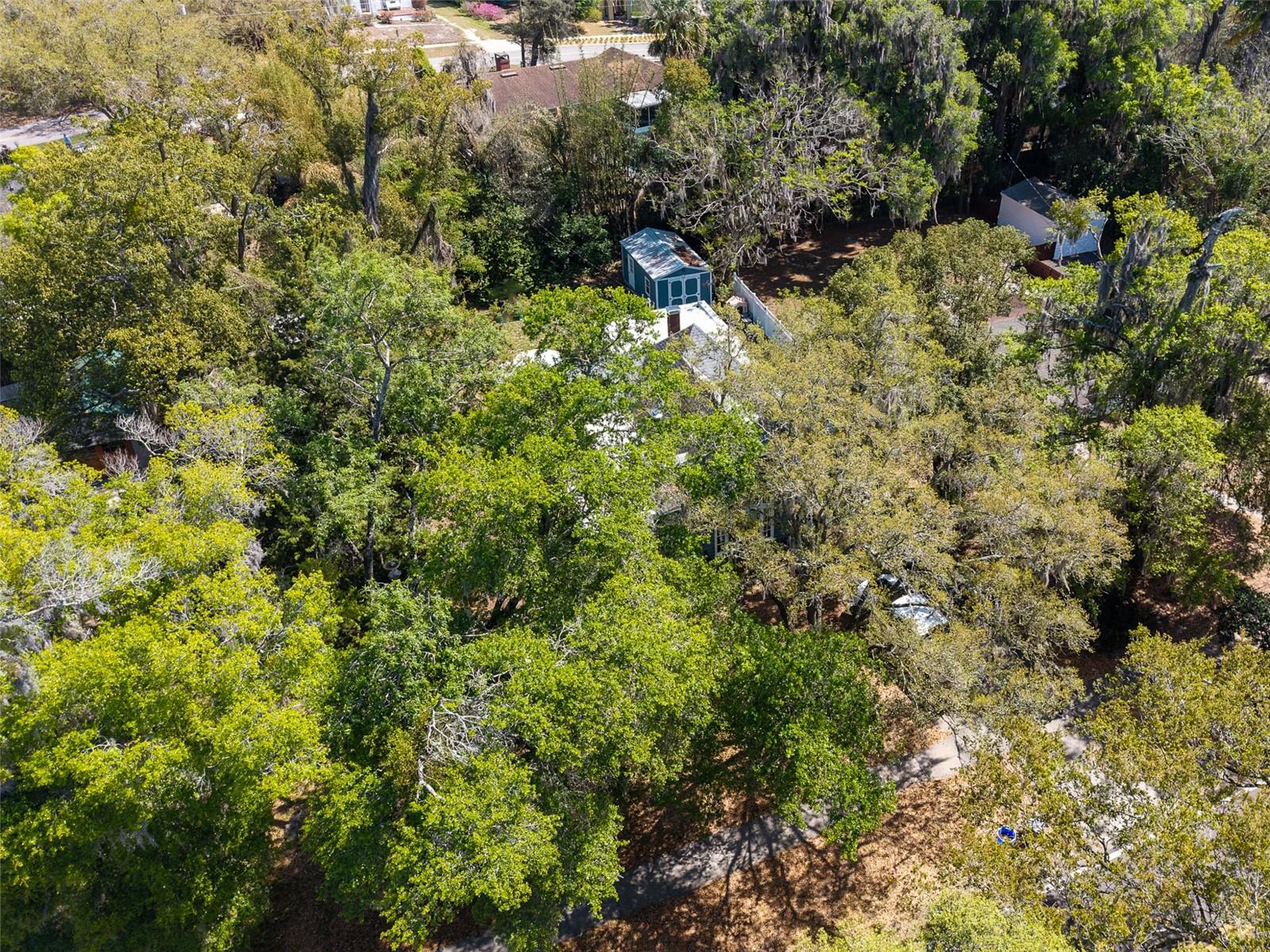 Image 39 of 53 For 623 Amelia Avenue