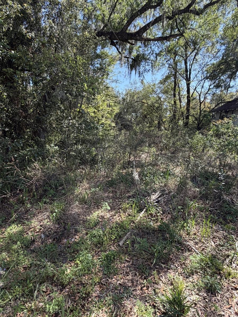 Details for 110 Mercers Fernery Road, DELAND, FL 32724