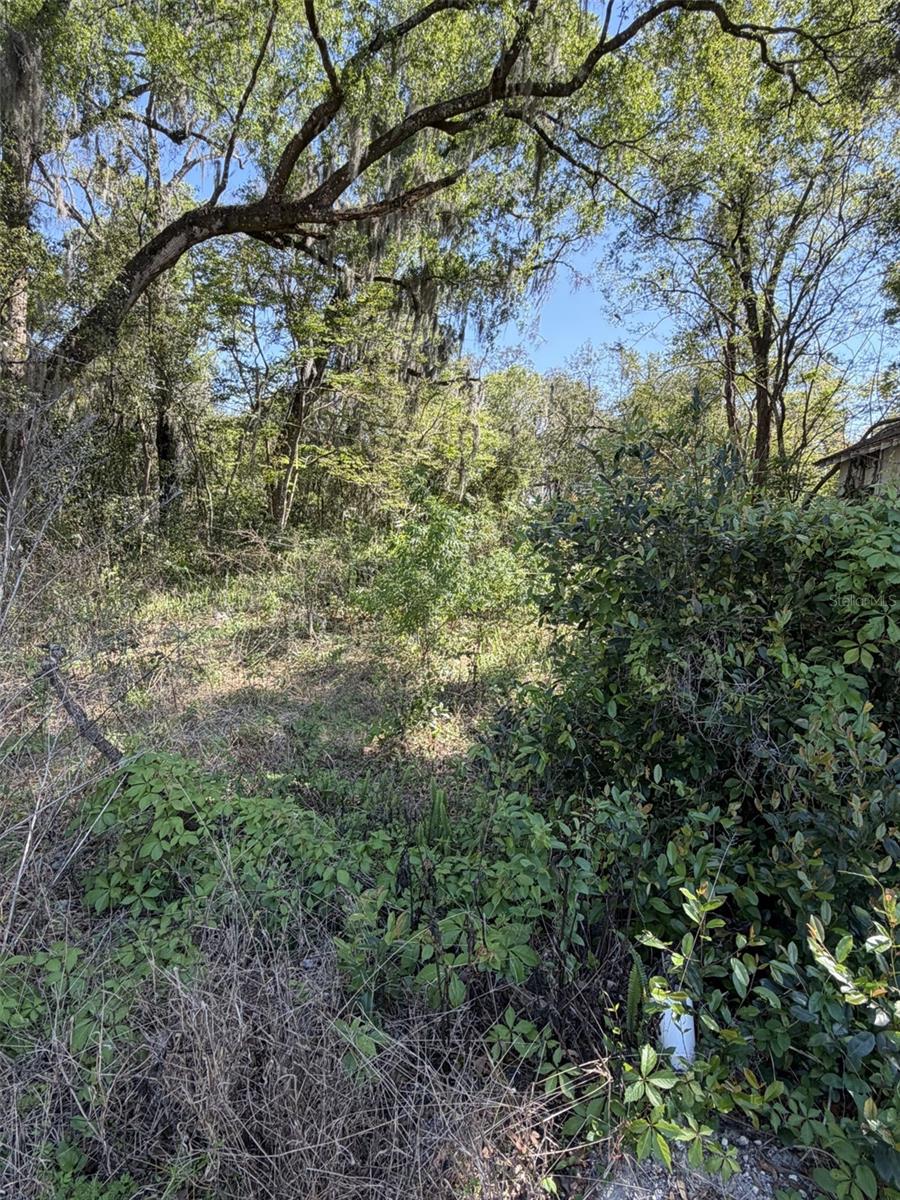 Image 2 of 3 For 110 Mercers Fernery Road