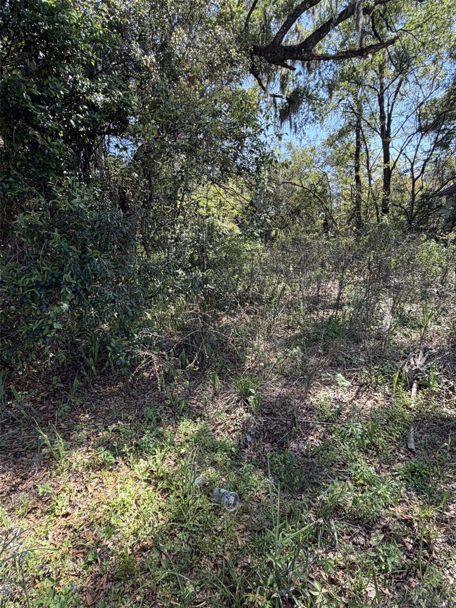 Image 3 of 3 For 110 Mercers Fernery Road