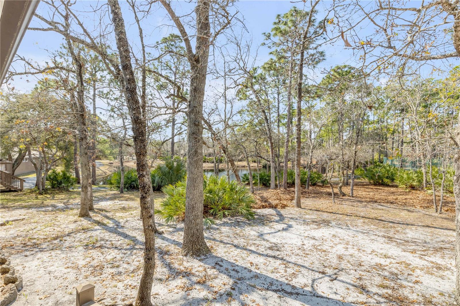 Image 31 of 41 For 47 Crooked Pine Road