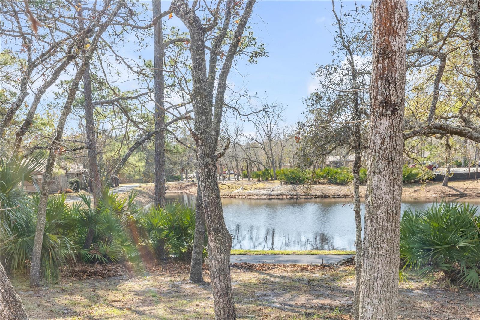 Image 35 of 41 For 47 Crooked Pine Road