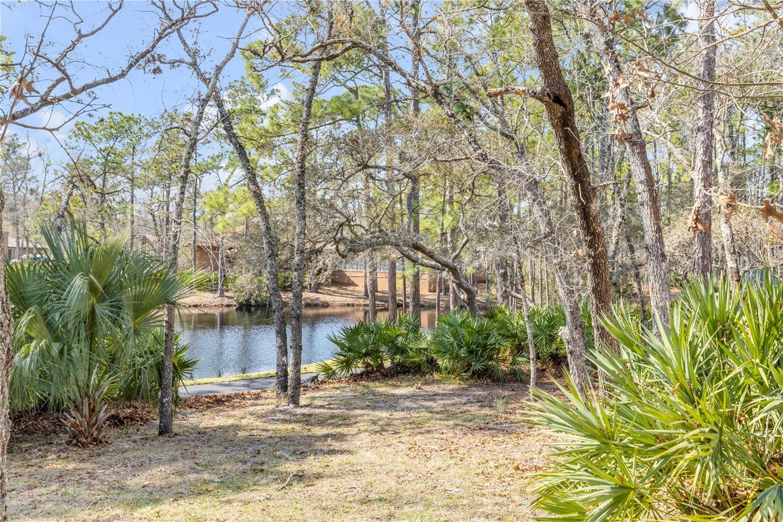 Image 36 of 41 For 47 Crooked Pine Road