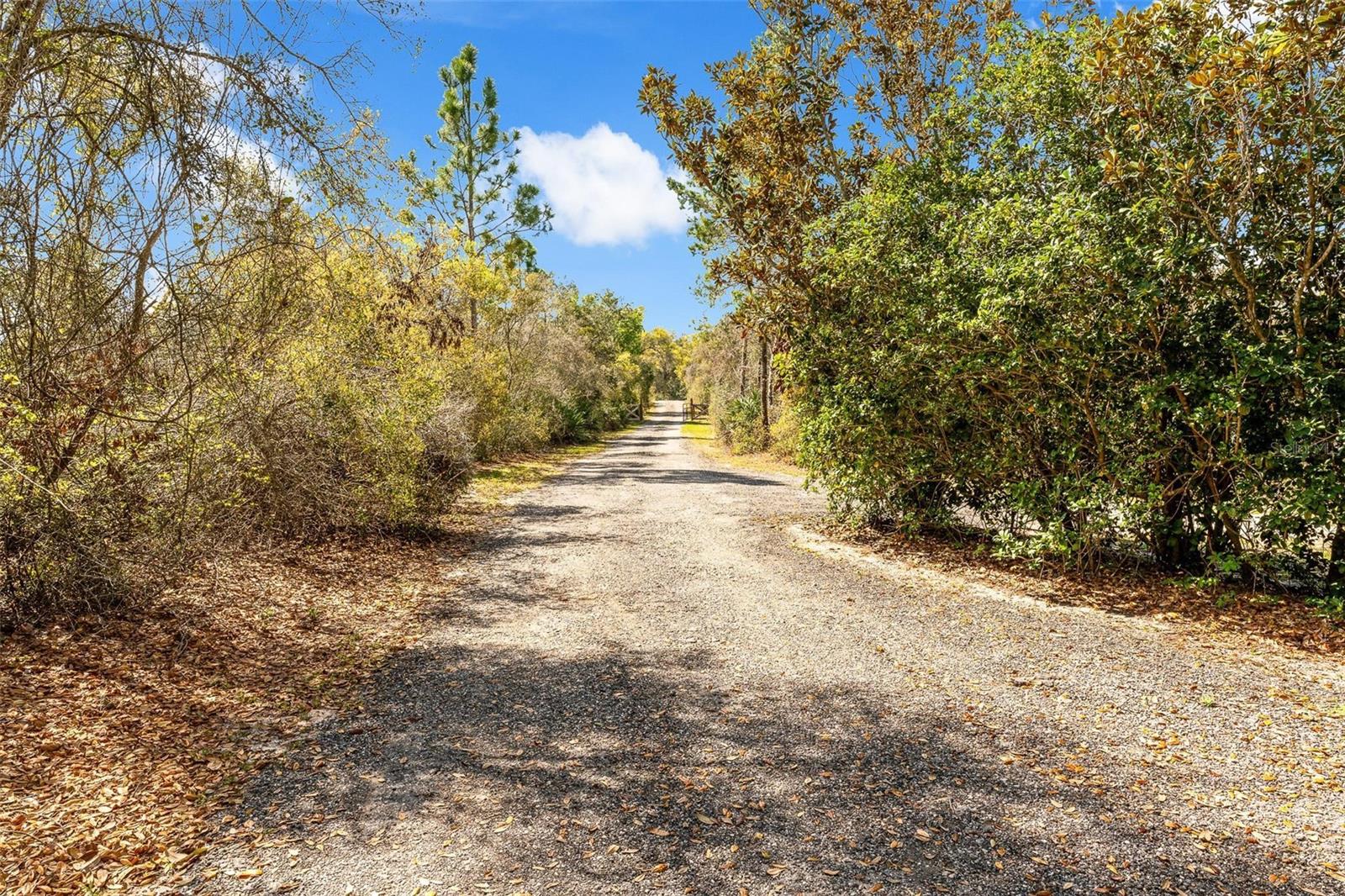 Image 28 of 34 For 326 Enterprise Osteen Road