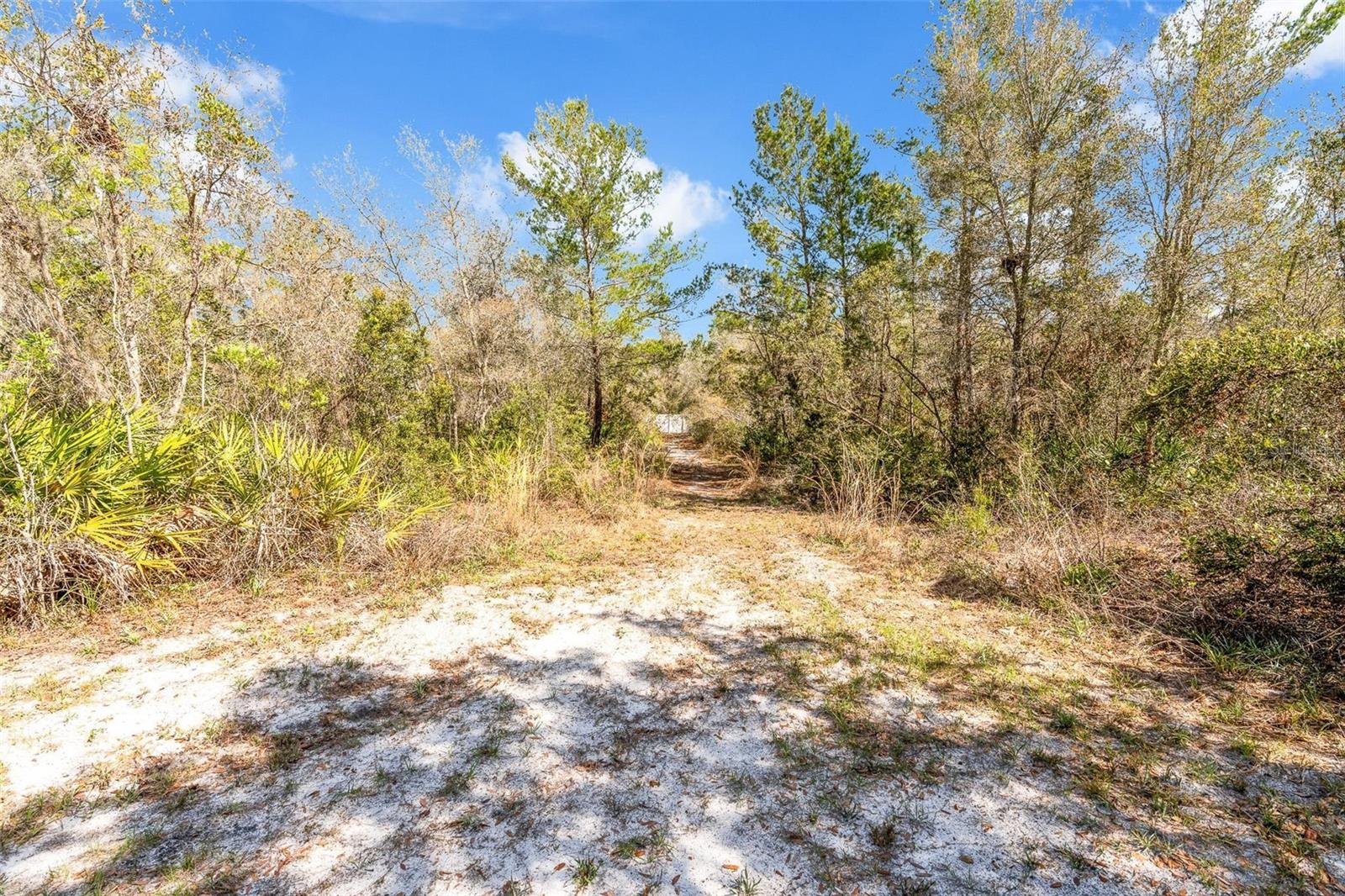 Image 31 of 34 For 326 Enterprise Osteen Road