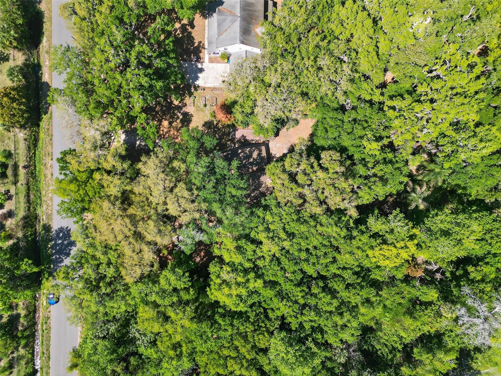 Image 47 of 47 For 3380 Lionel Road