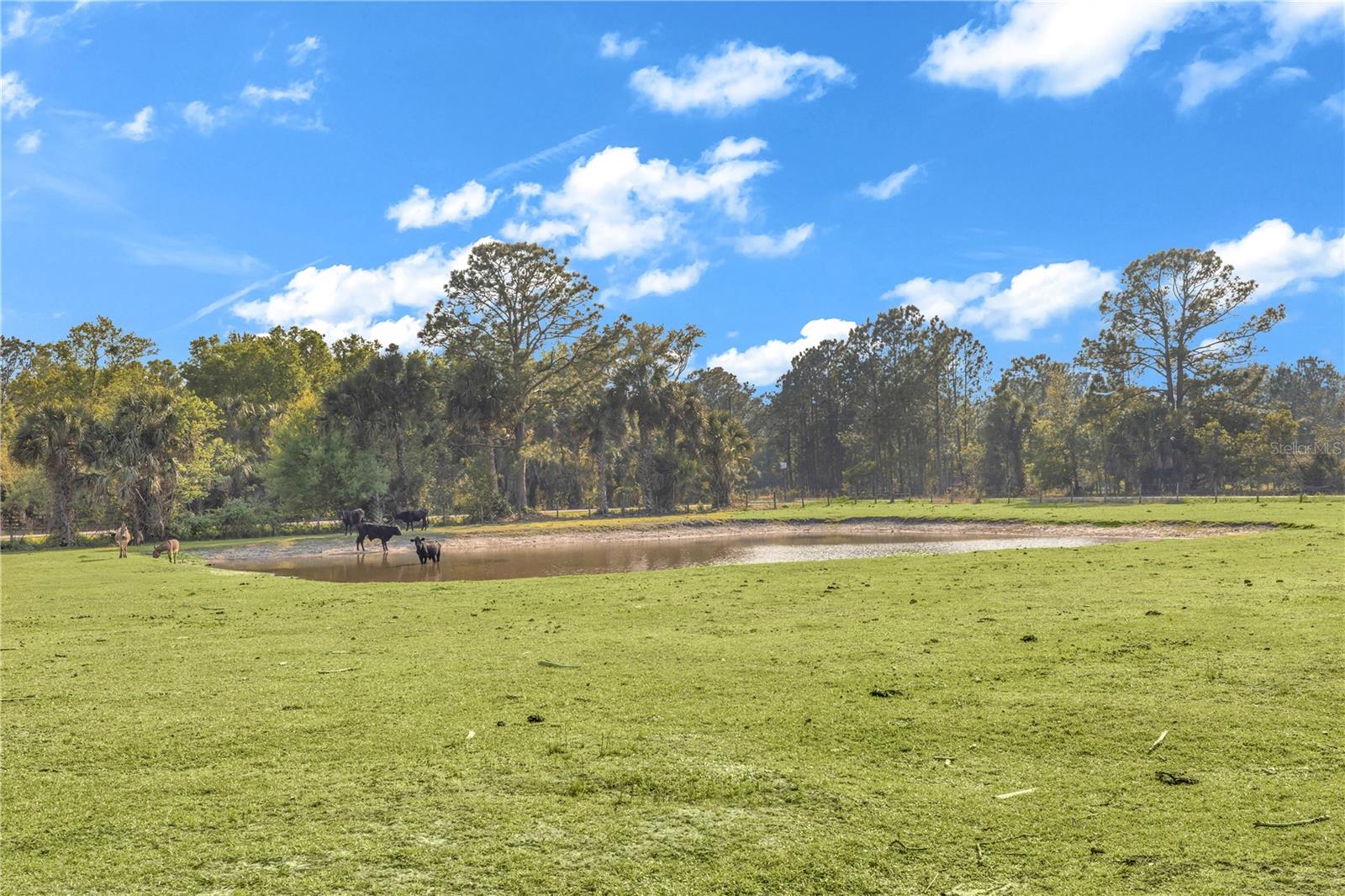 Image 38 of 46 For 171 River Oaks Drive