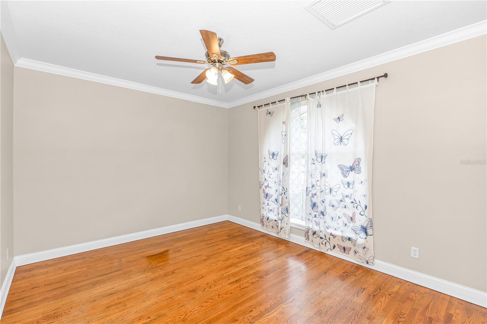 Image 29 of 60 For 279 Main Road