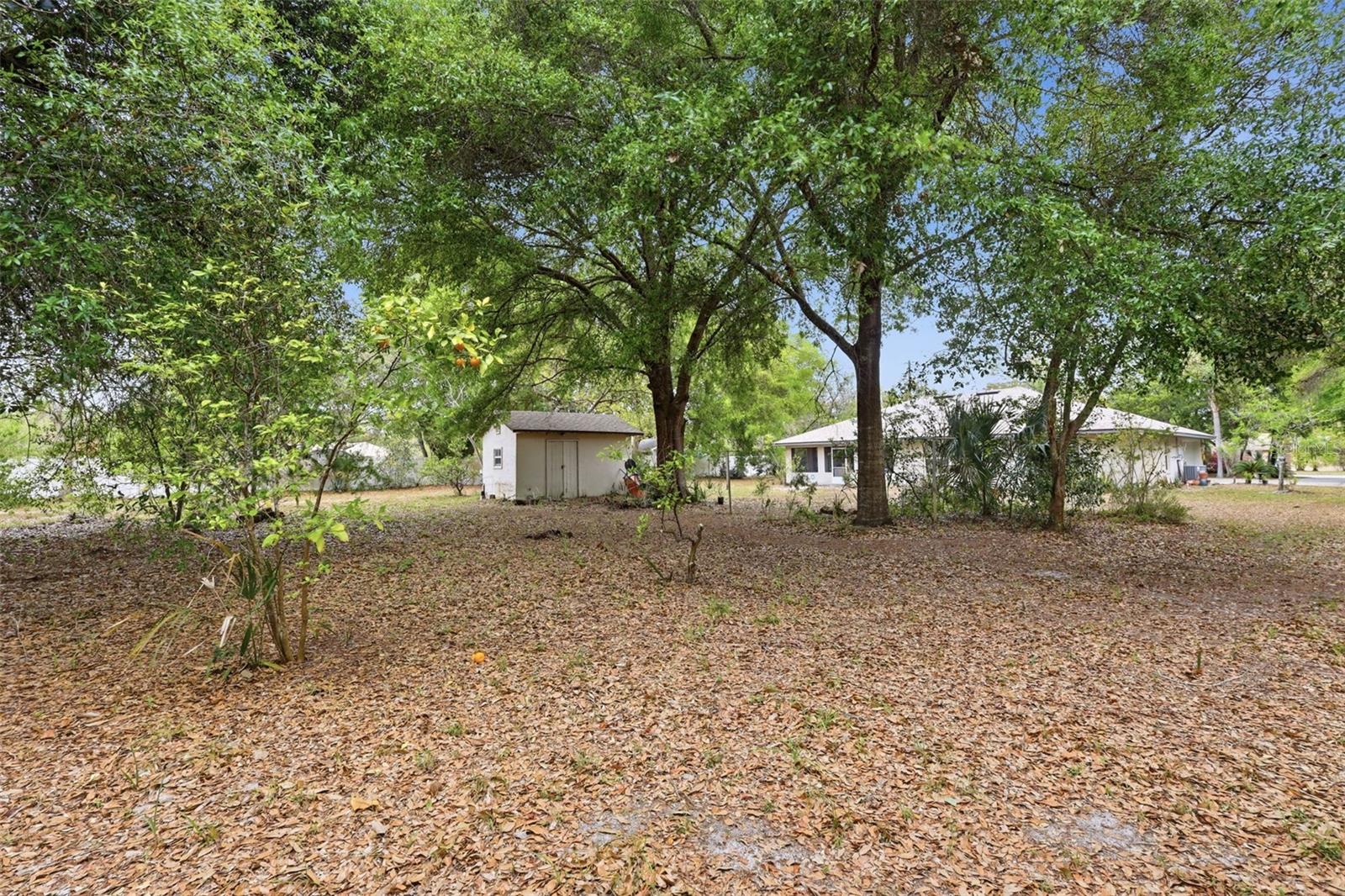 Image 31 of 36 For 1028 Collins Avenue