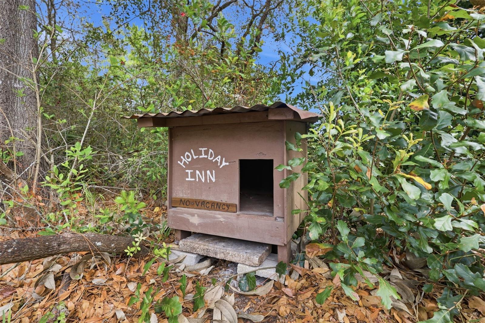 Image 35 of 36 For 1028 Collins Avenue