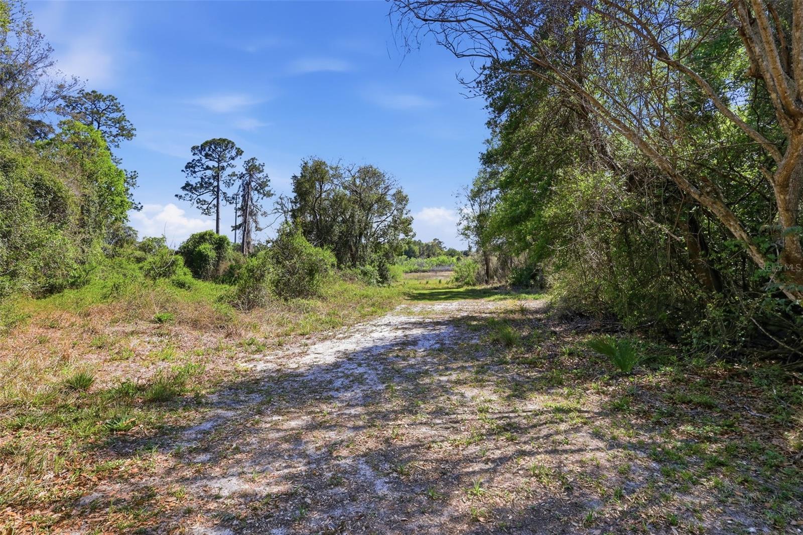 Image 52 of 64 For 69 Spring Lake Drive