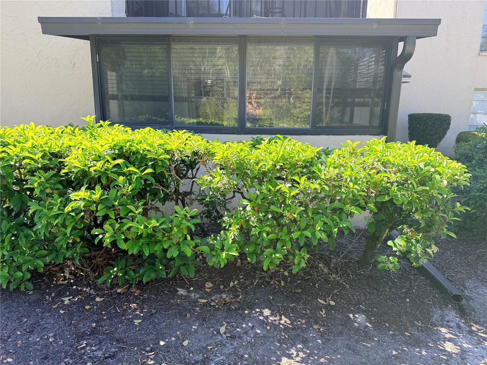 Image 22 of 30 For 100 Kentucky Avenue A6