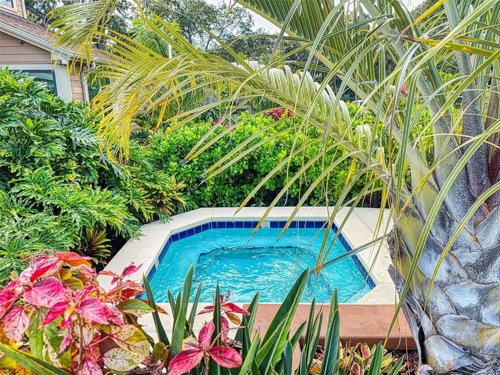 Image 34 of 40 For 1401 Palmetto Avenue 306