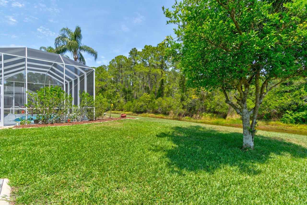 Image 37 of 43 For 1749 Arash Circle