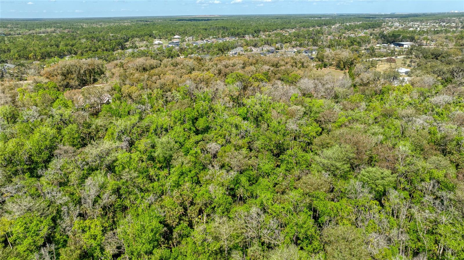 Image 16 of 18 For 1801 Adrian Creek Boulevard