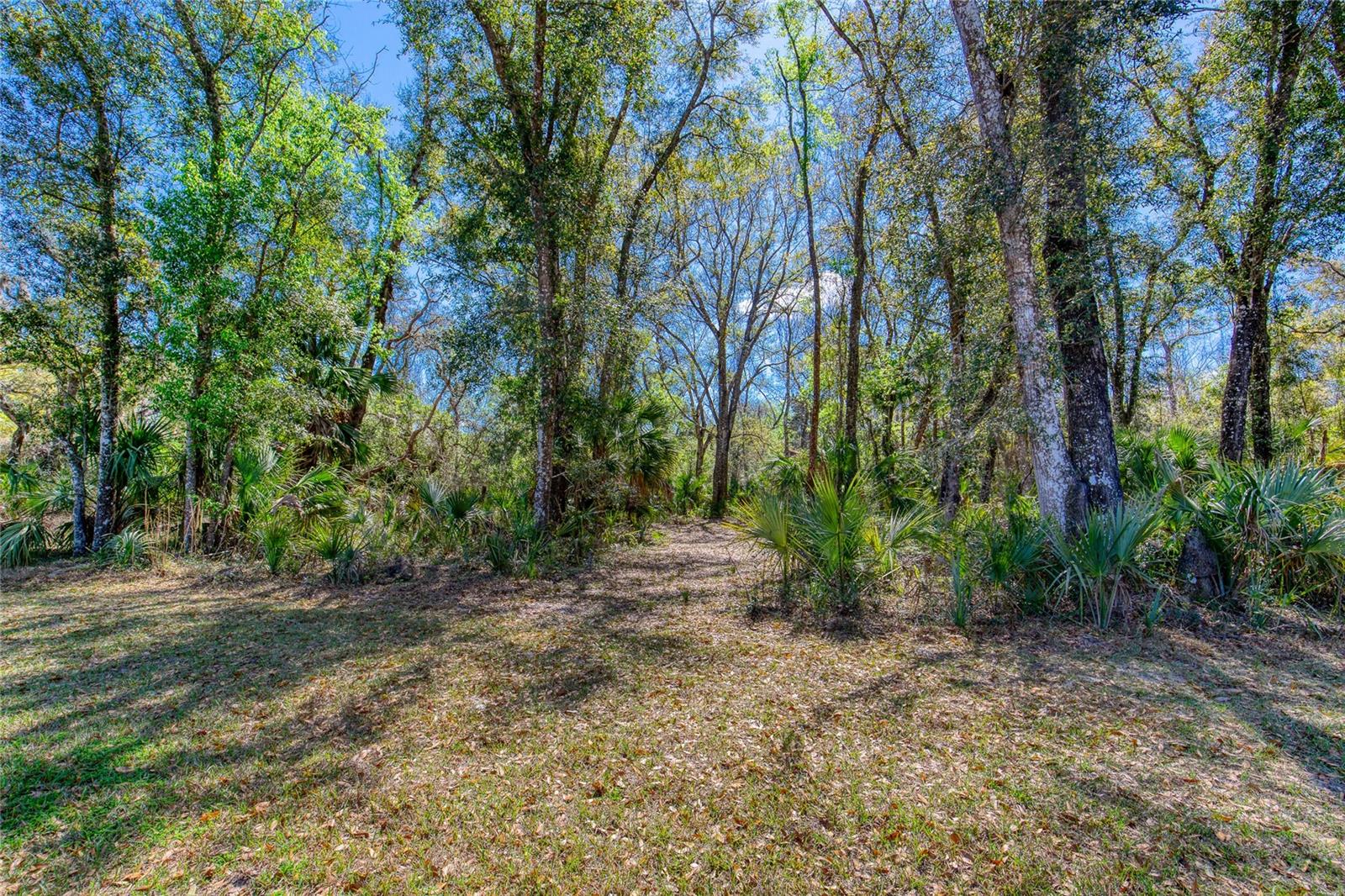 Image 7 of 18 For 1801 Adrian Creek Boulevard