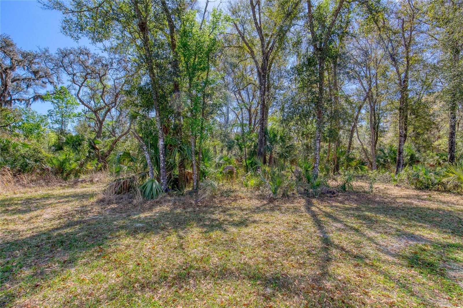 Image 8 of 18 For 1801 Adrian Creek Boulevard