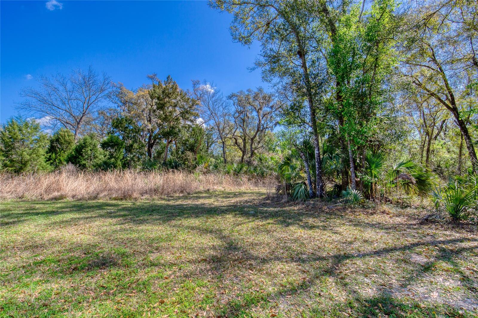 Image 9 of 18 For 1801 Adrian Creek Boulevard