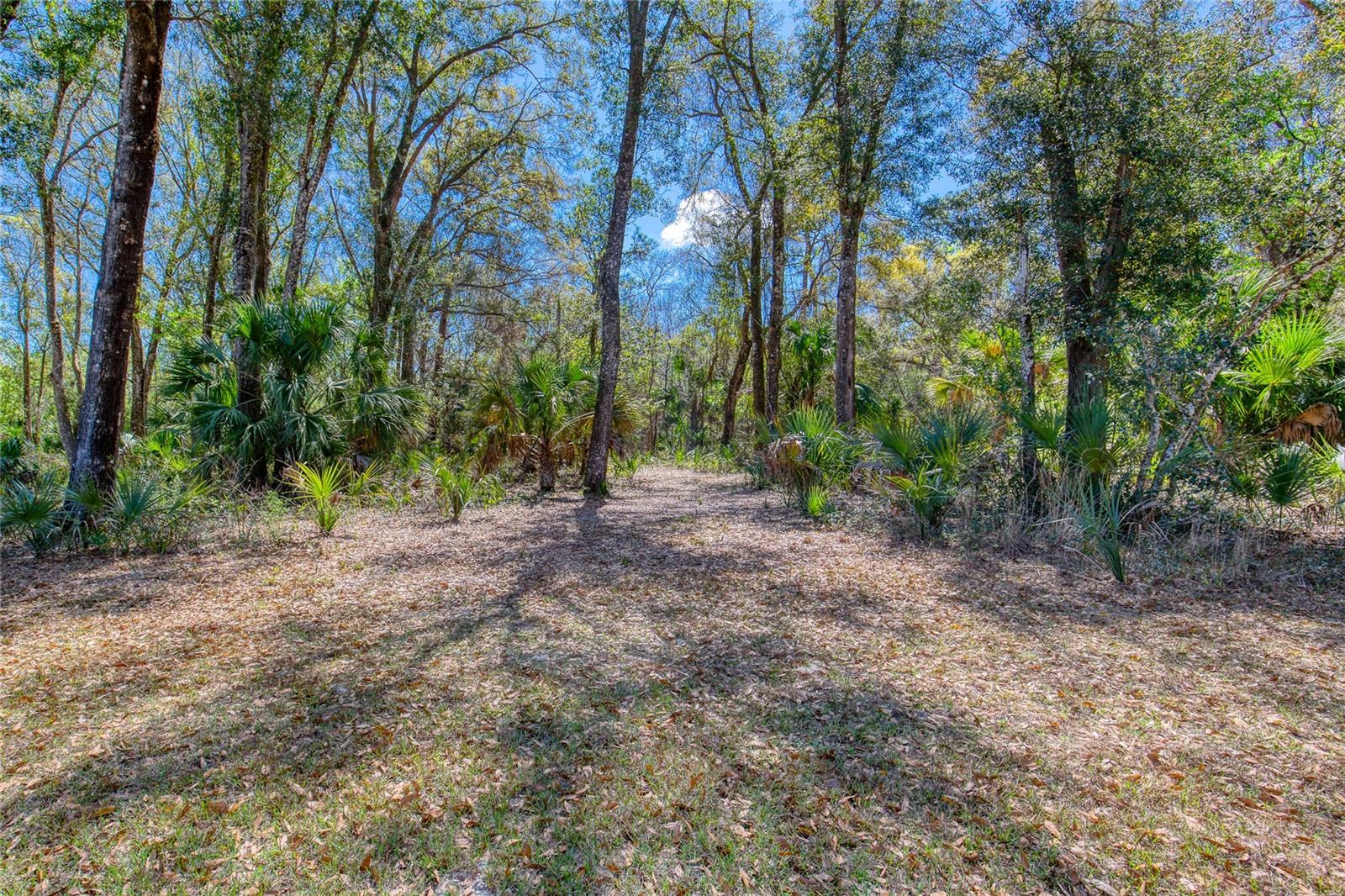 Image 6 of 17 For 1805 Adrian Creek Boulevard