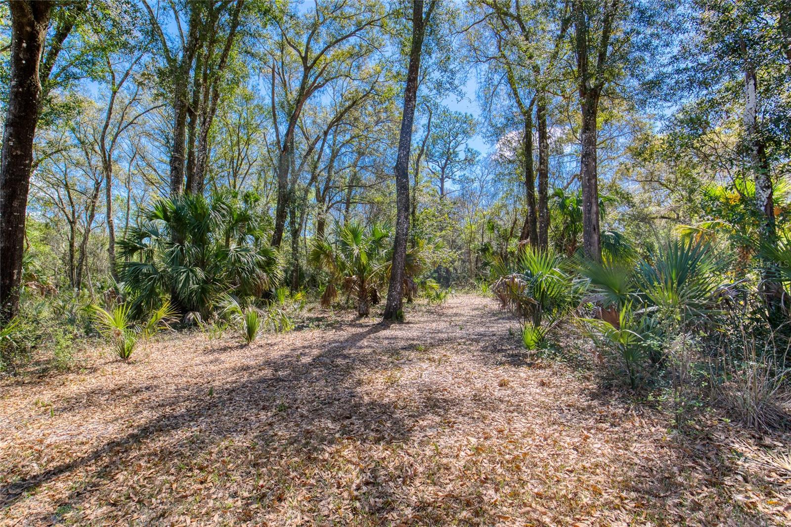 Image 7 of 17 For 1805 Adrian Creek Boulevard