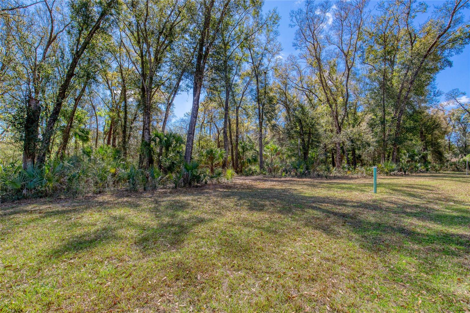 Image 8 of 17 For 1805 Adrian Creek Boulevard