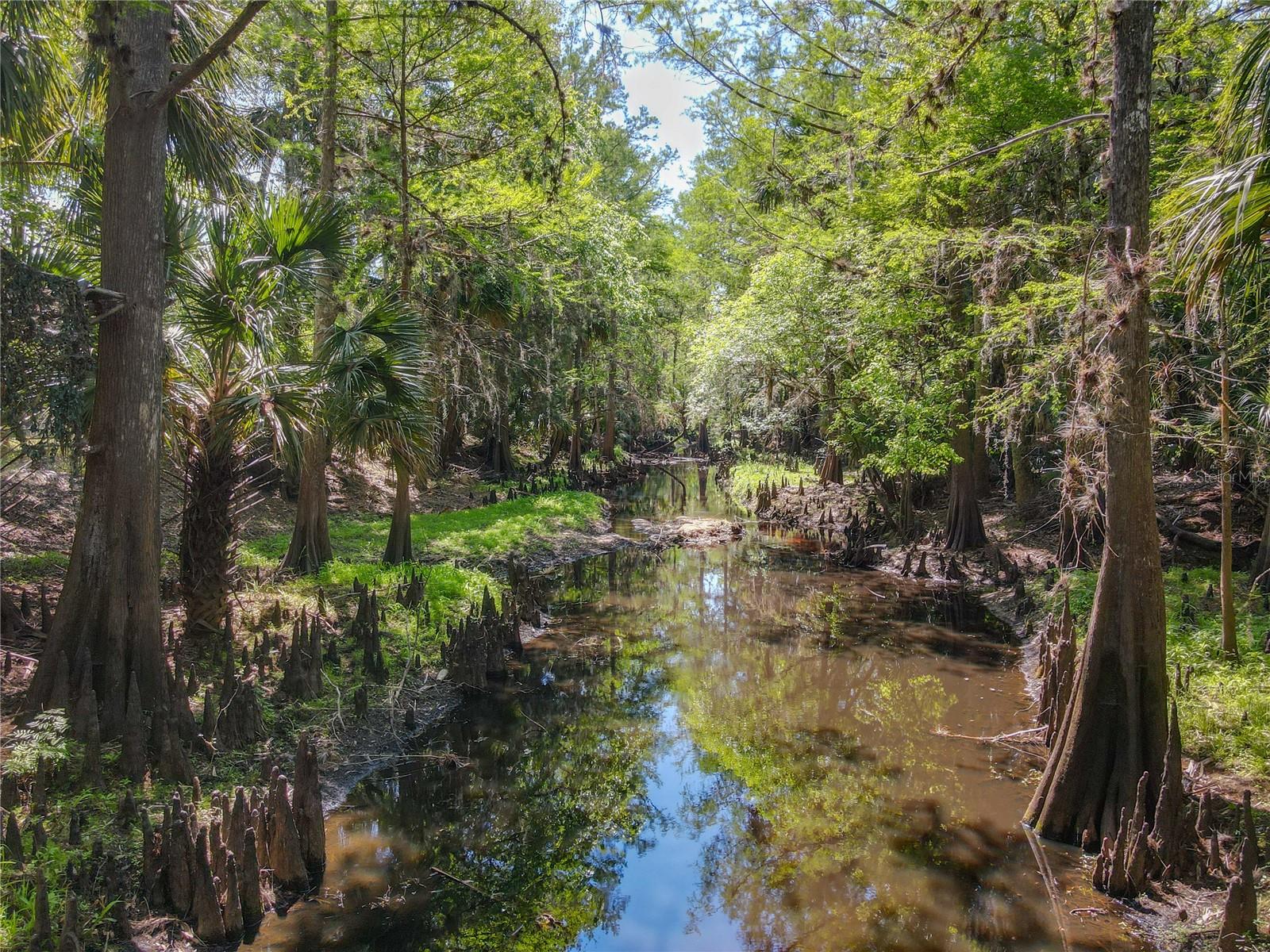 Image 4 of 46 For 1501 Ashby Creek Road